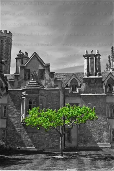 Quelle est, d'après les statistiques 2016, la ville française ayant le plus d'espaces verts ?