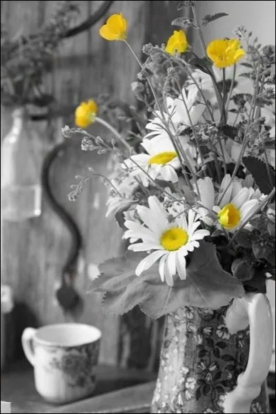 Quel est le titre du roman de Daniel Keyes ?