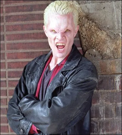 Parmi ces trois possibilités, qu'est-ce qui est le mieux adapté pour tuer un vampire ?