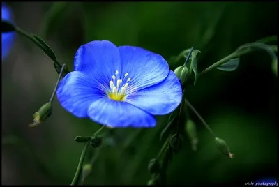Combien de personnages (pr&eacute;sents dans le jeu) ont les cheveux bleus (bleu fonc&eacute;, turquoise et bleu clair)
