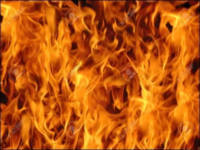 Je suis la déesse du foyer et de la flamme sacrée. Je suis :