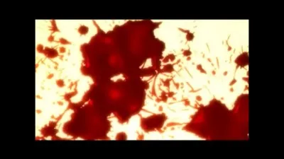 Eren veut exterminer tous les titans car...