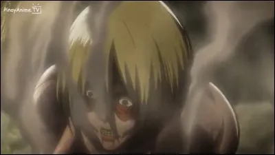 La/le fan des titans est...