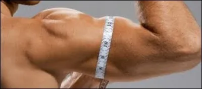 Combien mesurent vos tours de bras ?