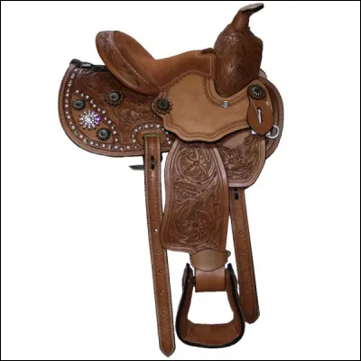 Quel est ce type de selle ? 
(une réponse possible)