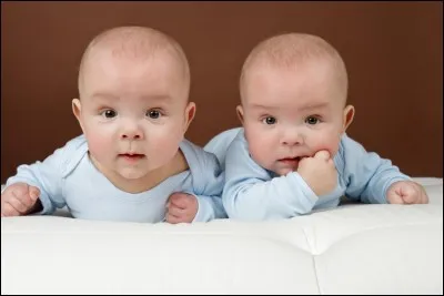 Ils sont inséparables.