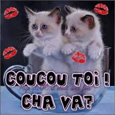 Coucou, c'est encore moi !