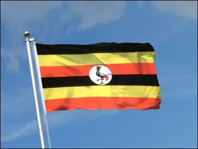 À quel pays appartient ce drapeau ?