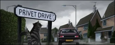 Combien de premiers chapitres se passent à Privet Drive ?