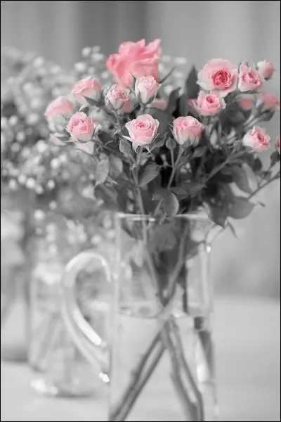 Combien vaut un printemps, dans une expression populaire, quand on vient d'en prendre un ?