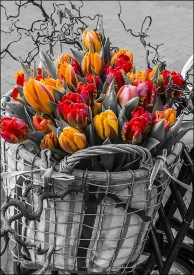 A quel compositeur doit-on "Le printemps" ?