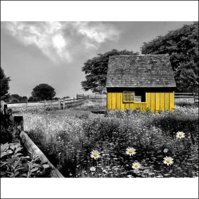 On fête également l'équinoxe de printemps, au Carnaval de Saint-Rémy-de-Provence, dans quel département vous rendrez-vous pour y assister ?