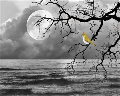 Selon un vieux proverbe, quel oiseau ne fait pas le printemps ?