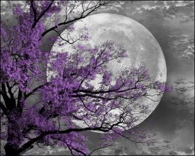 Qui a composé "Le sacre du printemps" ?