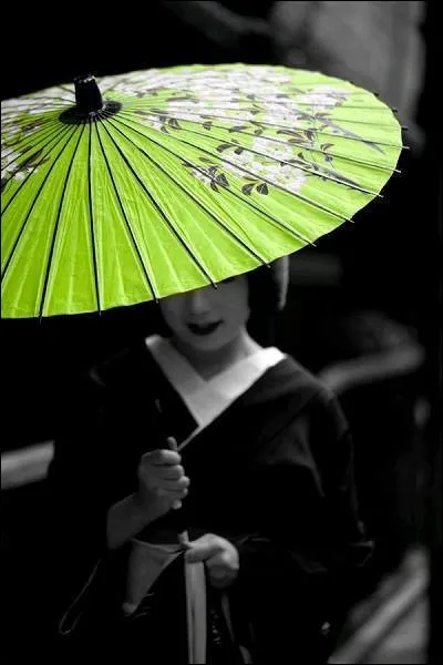 D'où le rouleau de printemps est-il la spécialité ?