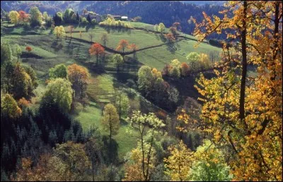 Passons à des localités moins importantes mais il y aura un petit indice. Marsac-en-Livradois, petite commune de 1 400 habitants, sur la Dore, se trouve entre Ambert et Brioude. Dans quel département ?