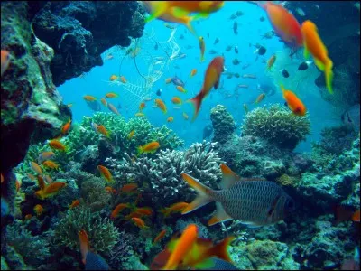 Dans quel film la chanson "Sous l'océan" apparaît-elle ?