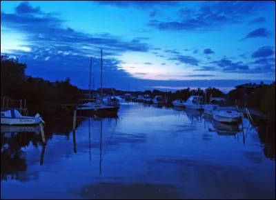 Quel est le couple qui chante "Le rêve bleu" ?