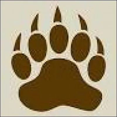 À quel animal appartient cette empreinte?