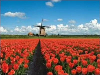 Quel pays a été colonisé par les Pays-Bas ?