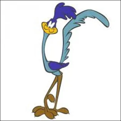 Autre oiseau de dessin animé très connu, voici Bip Bip, toujours poursuivi par Coyote.Mais quel genre d'oiseau est Bip Bip ?