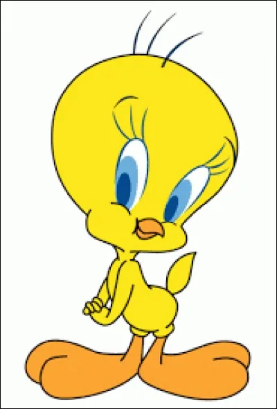 Si les oiseaux précédant étaient pour vous inconnus, je suis sûre que vous connaissez tous Titi qui est un petit...