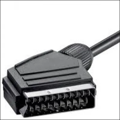 Quel est le nom de ce câble ?