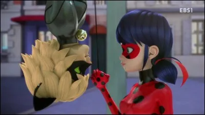 Quel est le pouvoir de Chat noir ?