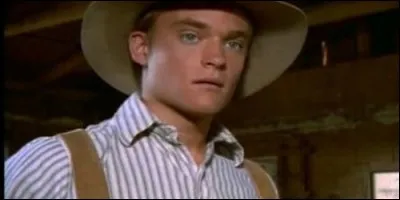 Avant de devenir avocat, quel métier va faire Matthew Cooper ?