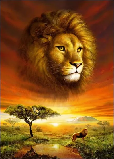 Lequel de ces animaux a une poche à l'avant pour y mettre son petit ?