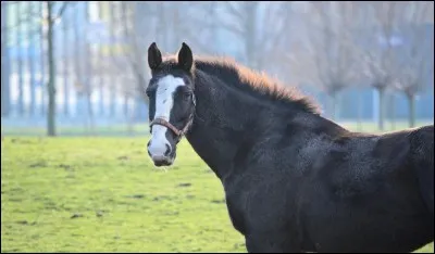 De quelle taille êtes-vous ?