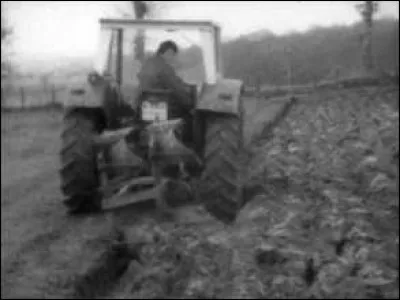 En 1972 quel pourcentage de la population est rurale ?