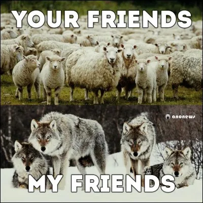 Qui est le meilleur ami de Scott ?