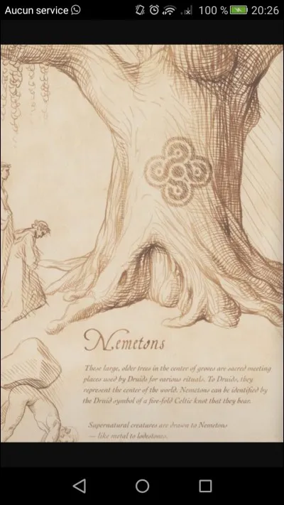 En quelle langue est écrit le bestiaire des Argent ?