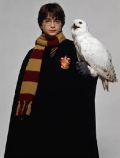 L'oiseau d'Harry Potter s'appelle Hedwige. Quel oiseau est-ce ?