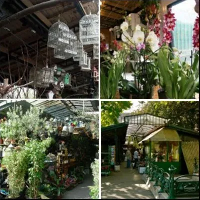 Allons au coin de la « rue de la Pelleterie » et du « quai Desaix » !
Cet endroit est un ancien terrain vague qui a été transformé par l'empereur Napoléon 1e. A l'époque, on ne pouvait l'apprécier que le mercredi après-midi et le samedi. Il existe toujours !