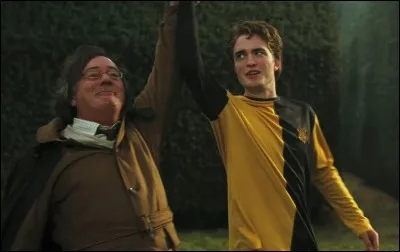Qui est réellement Delphini Diggory ?