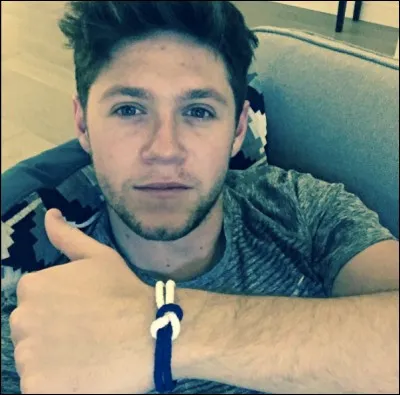 Quel est le nom de la chanson de Niall ?