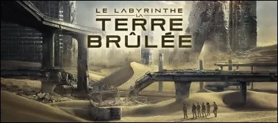 Quels acteurs jouent Newt et Teresa ?