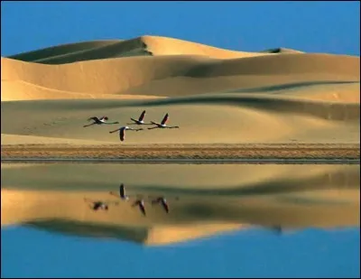 Et pour finir le quiz, que veut dire : أنا أعيش في فرنسا وأنا أحب أن يعيش في الجزائر ou « 'ana 'aeish fi faransa wa'ana 'ahibb 'an yaeish fi aljazayir » ?