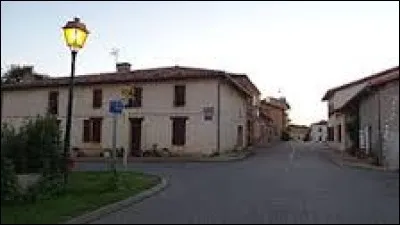 Commune d'Occitanie, dans l'aire urbaine de Toulouse, Beaufort se situe dans le département ...