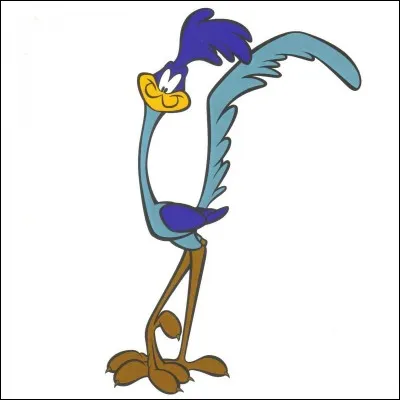 Quel oiseau Bip-Bip est-il ?