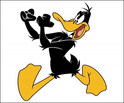 Daffy Duck - Quel oiseau est-il ?