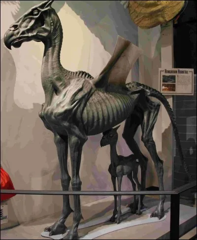 Qui Luna a-t-elle vu mourir ?