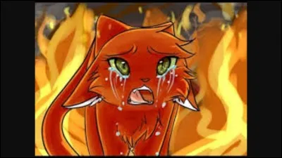 Qu'est-ce qui te fait le plus peur ?