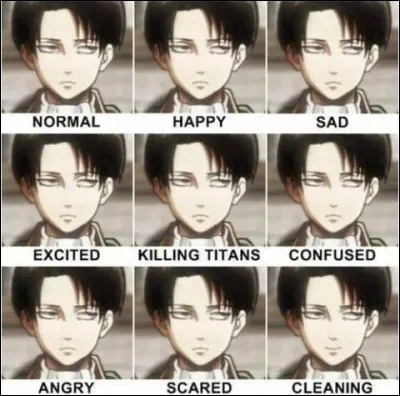 Qui étaient les compagnons de Livaï ?