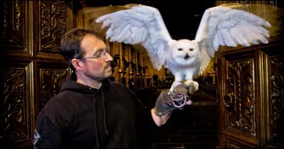 Chouette - Dans quelle saga avons-nous pu voir cette chouette ?