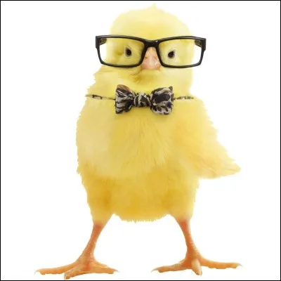 Qui était Nicolas Poussin ?