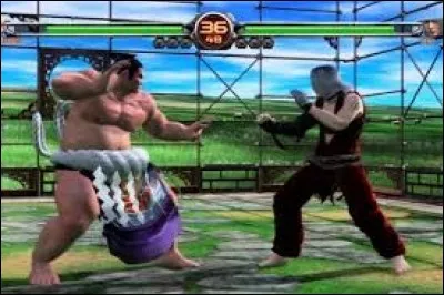 Quel jeu de combat est le plus populaire ? (février 2017)