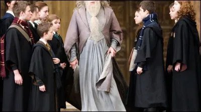 Avec quel personnage de "Harry Potter" aimerais-tu passer du temps ?